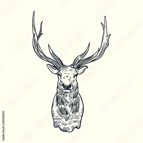 Vintage hand drawn sketch deer head