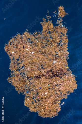 Sargassum macroalgae and plastic trash floating on the surface of the ocean drone, aerial UAV Thailand, South East Asia © Huw Penson