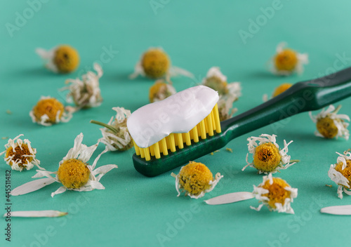 Herbal toothpaste a toothbrush on a green background.