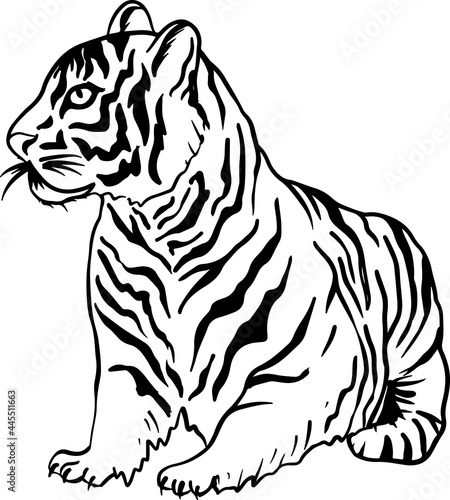 Wallpaper Mural Tiger. Black and white simple sketch. Vector illustration. Torontodigital.ca