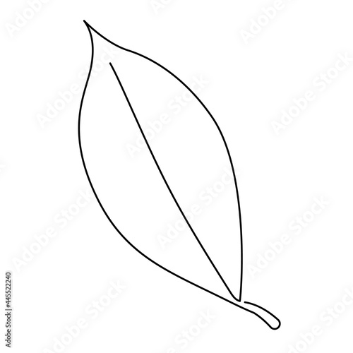 One continuous line drawing abstract tropic spring maple leaf. Minimal botany natural eco concept. Home wall decor, poster, tote bag, fabric print. Single line draw design graphic vector illustration