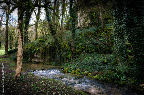 Le vallon de Fontenay  Bourgogne