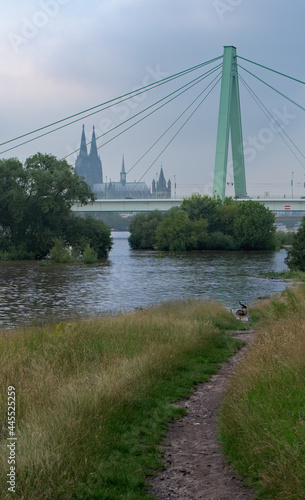 Köln bei Hochwasser, Rhein 2021