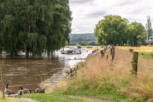 Hochwasser in Mülheim- Mintard an der Ruhr Überschwemmter Campingplatz photo