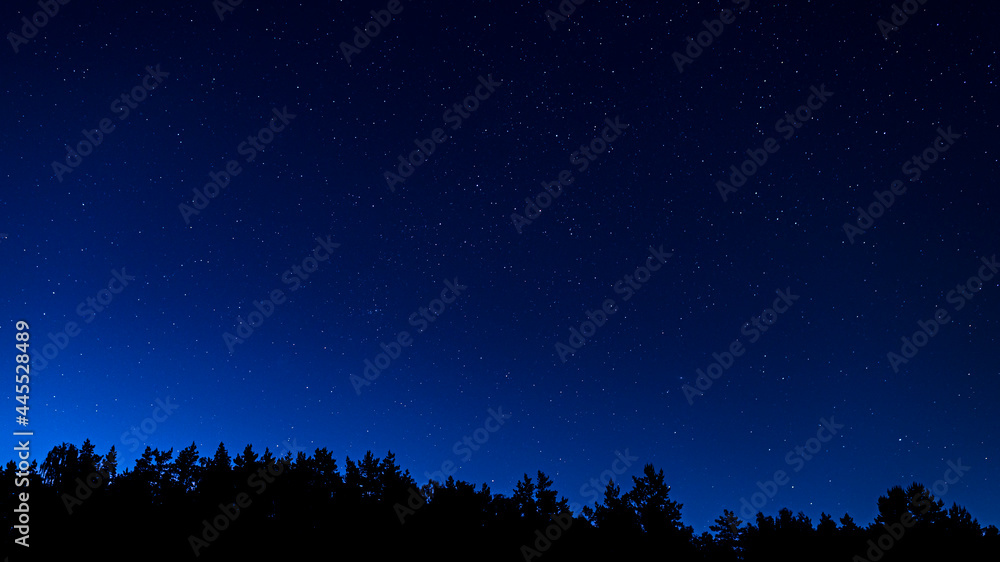 The starry night sky above the silhouette of the forest. The Andromeda Galaxy, the constellations of Giraffe, Cassiopeia