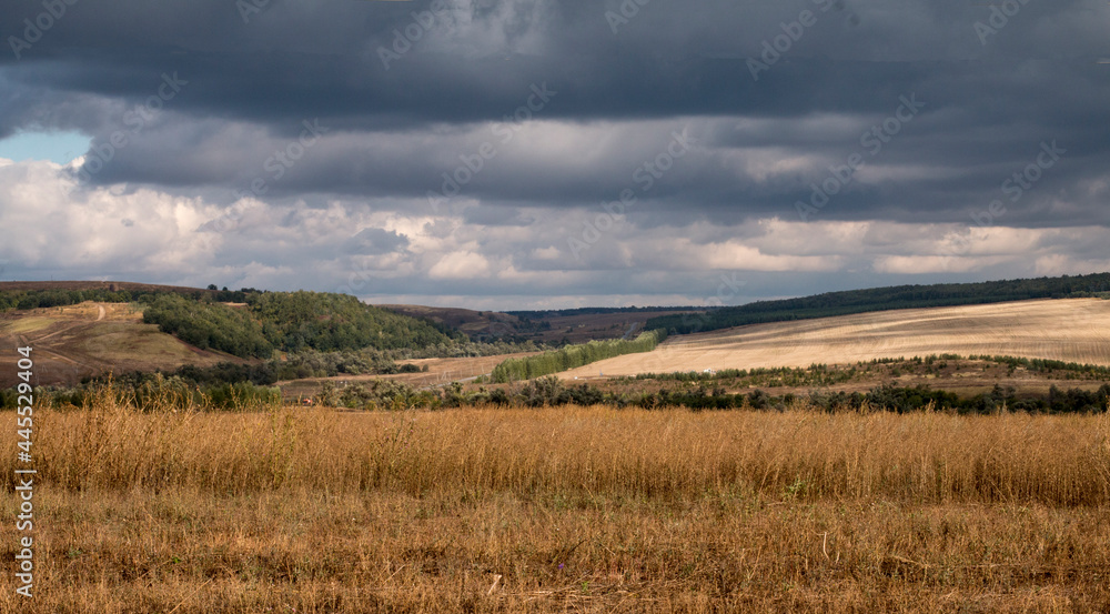 countryside field with grass and stormy clouds 
