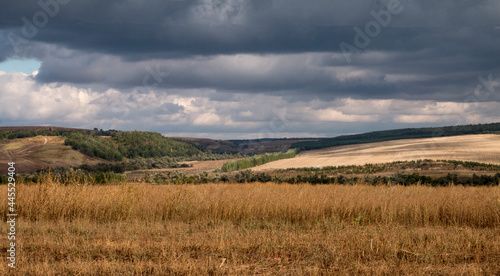 countryside field with grass and stormy clouds  