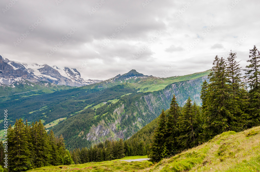 Fototapeta premium Grindelwald, Eiger, Eigernordwand, Männlichen, Kleine Scheidegg, Lauberhorn, Tschüggen, First, Bort, Bussalp, Bergwiese, Wanderweg, Alpen, Berner Oberland, Sommer, Schweiz