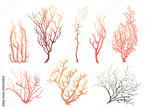 Fotografering Corals set, floral colorful collection of watercolor corals isolated on white background, hand painting illustration
