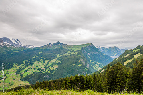 Grindelwald  Eiger  Eigernordwand  M  nnlichen  Kleine Scheidegg  Lauberhorn  First  Bort  Bussalp  Bergwiese  Wanderweg  Alpen  Berner Oberland  Sommer  Schweiz