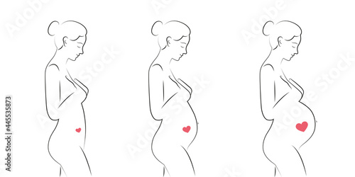 pregnant woman waiting for baby trimester set