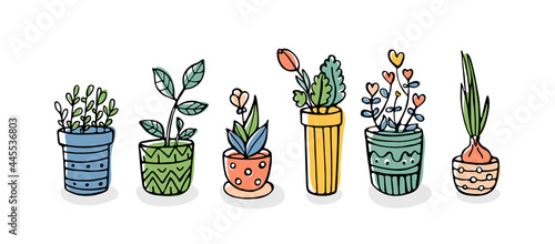 Set of hand-drawn plants in pots isolated on white background. Cute doodle vector illustration. 