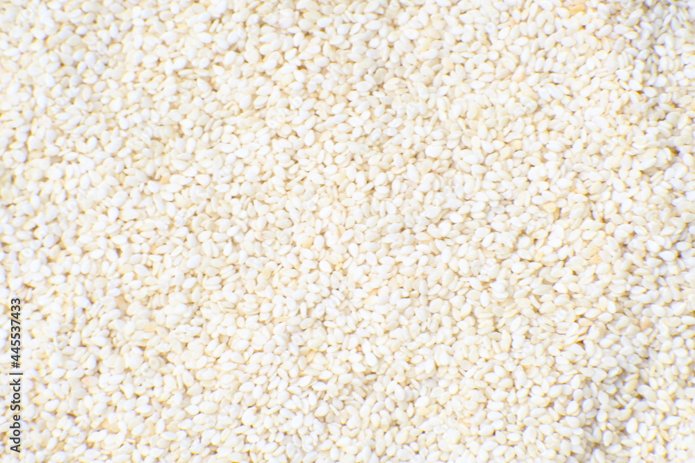 Close up White Sesame Seeds background and pattern, healthy food Close up White Sesame Seeds background and pattern, healthy food