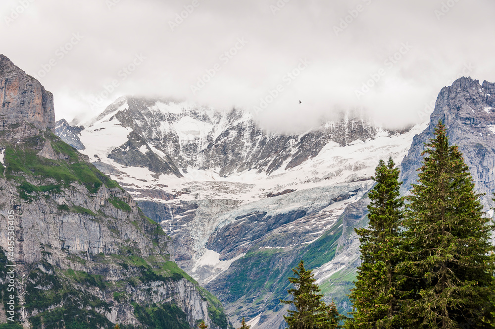 Grindelwald, Schreckhorn, unterer Grindelwaldgletscher, Eiger, Eigernordwand, Pfingstegg, Gletscher, Alpen, Berner Oberland, Sommer, Schweiz