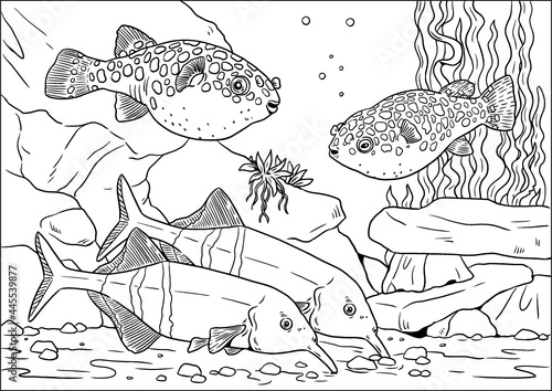 Aquarium with tetraodon and elephantnose fish for coloring. Colorful tropical fish vector templates. Coloring book for children and adults.	