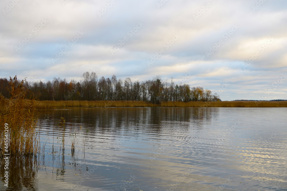 View of the lake in late autumn on a cloudy day. View of the lake in late autumn on a cloudy day.
