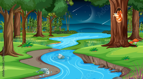 River through the forest scene at night