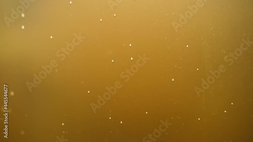 Fermenting honey in a glass bottle with carbonated bubbles fizzing and yeast taking some mildly visible shape within.