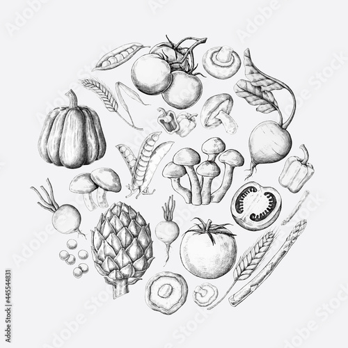 White vegetable design collection vector