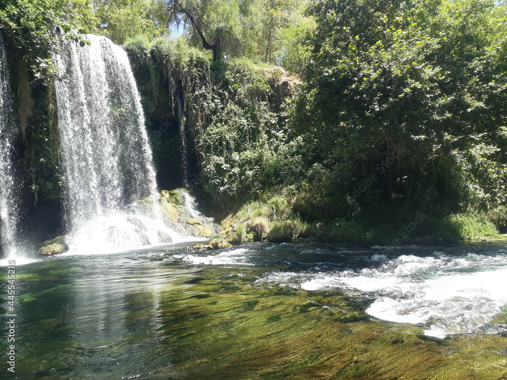 waterfall in the forest