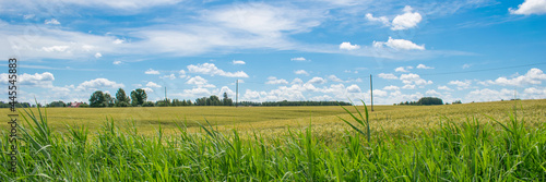 Colorful field on a sunny day.