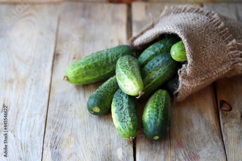 Fresh cucumbers in a bag on a wooden surface. Organic vegetables. Harvest of cucumbers.