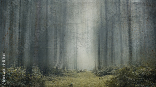 A dark spooky, moody path through a misty forest. With a grunge, textured, vintage edit.