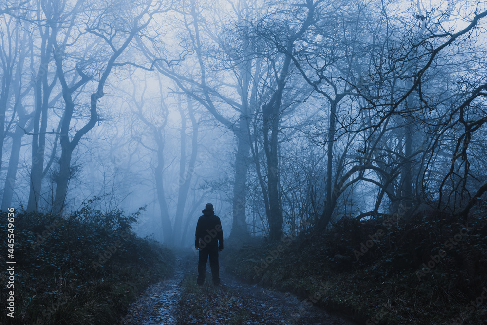 Obraz premium A hiker standing on a muddy, path through a spooky, eerie forest. On a mysterious foggy, winters day.