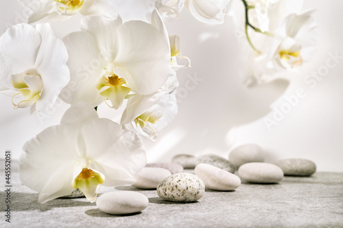 White and grey textured stone podium with sea pebbles  orchid flowers and plant shadow pattern. Advertising background concept for cosmetics  fashion  spa.