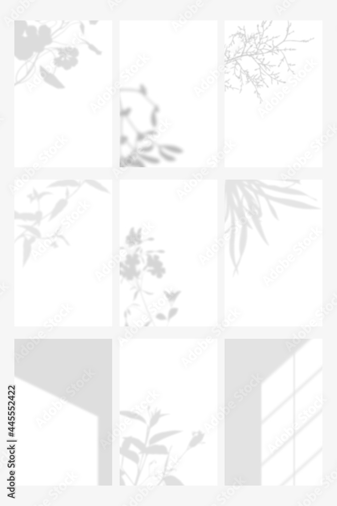 Botanical shadow on white background template vector set