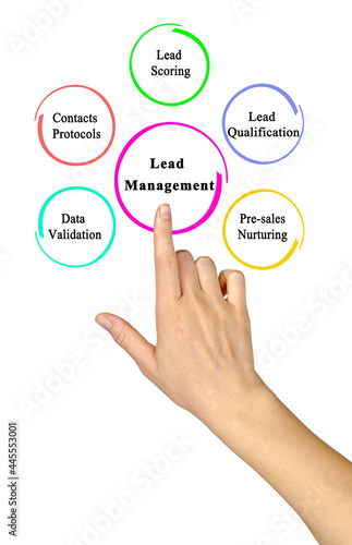 Five Components of Lead Management