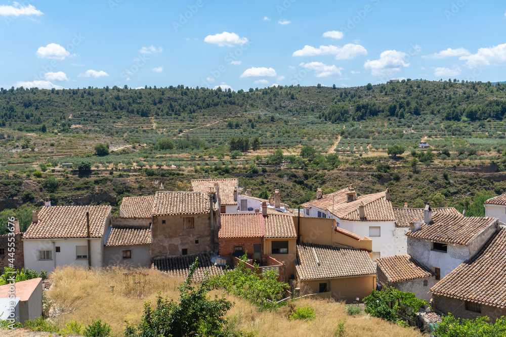Roof tops of a village, in a summer day.