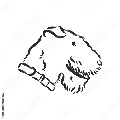 Airedale Terrier Dog. hand drawn. Vector illustration