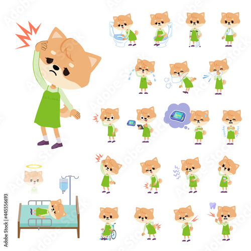 怪我や病気状態のイヌの女の子のセット