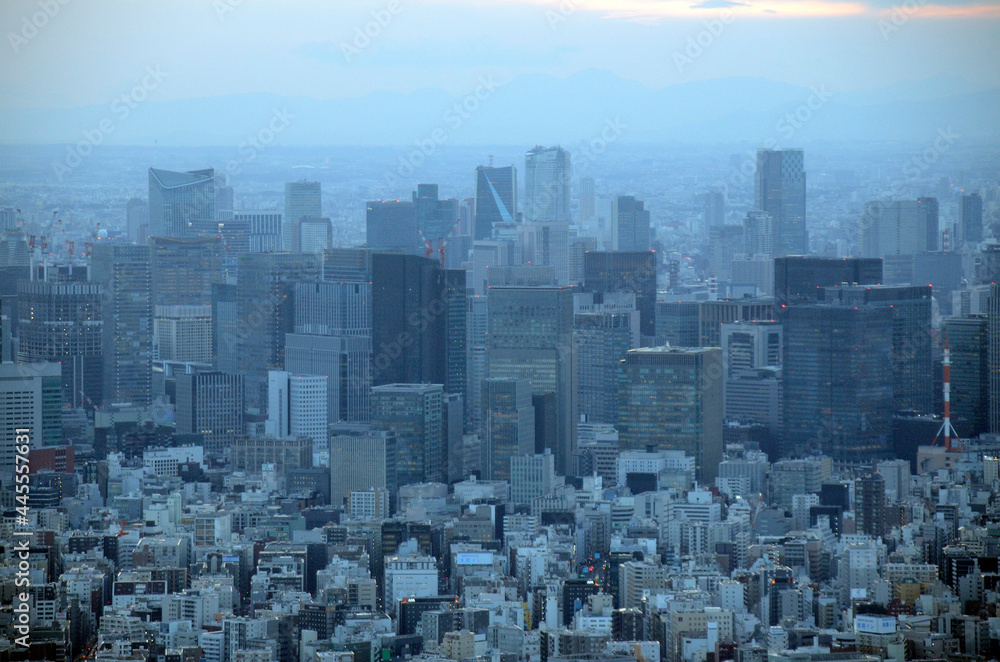 Obraz premium 東京の街並み