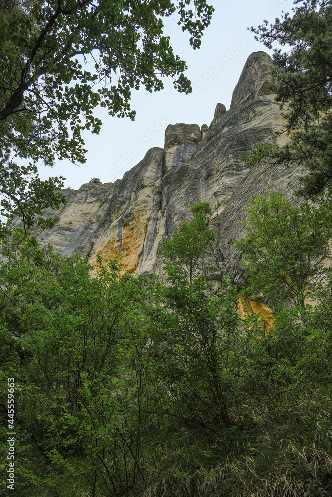rock in the mountains from beneath across green trees close-up. Pietra di Bismantova, Italy. Hiking, trekking, camping, adventure concept