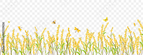 Bright spring summer flowers border.