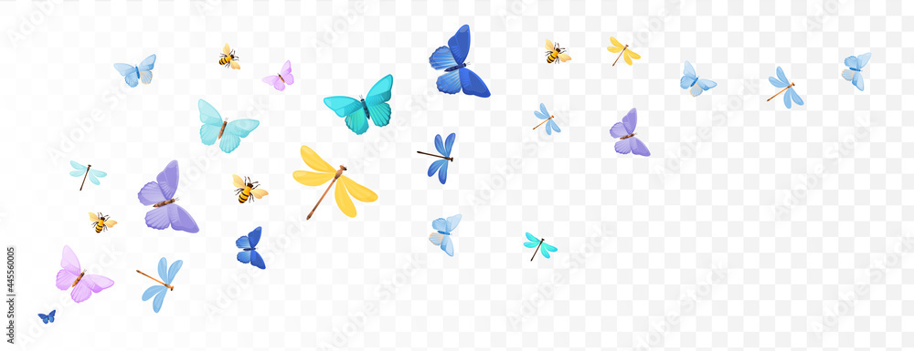 Bright colorful spring summer butterflies.