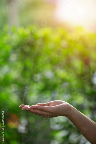 hand holding light bulb against nature, icons energy sources for renewable, © maeching