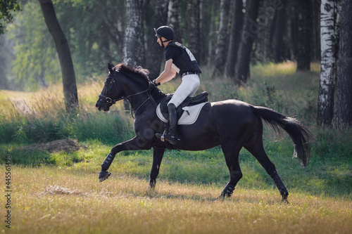 rider man galloping fast in field on black stallion horse during eventing cross country competition in summer