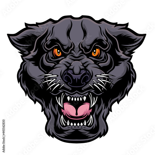 Angry panther head.	
