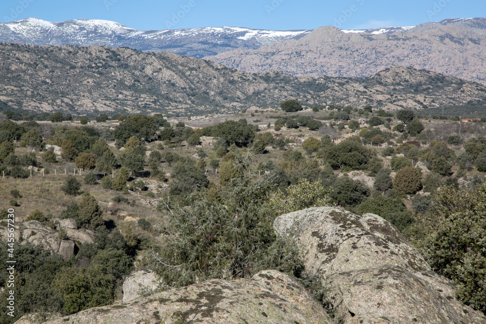 Guadarrama National Park; Madrid Guadarrama National Park; Madrid