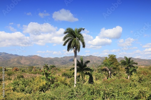 Trinidad, Cuba - Sugar Mill Valley