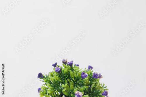 beautiful decorative flowers for table decoration