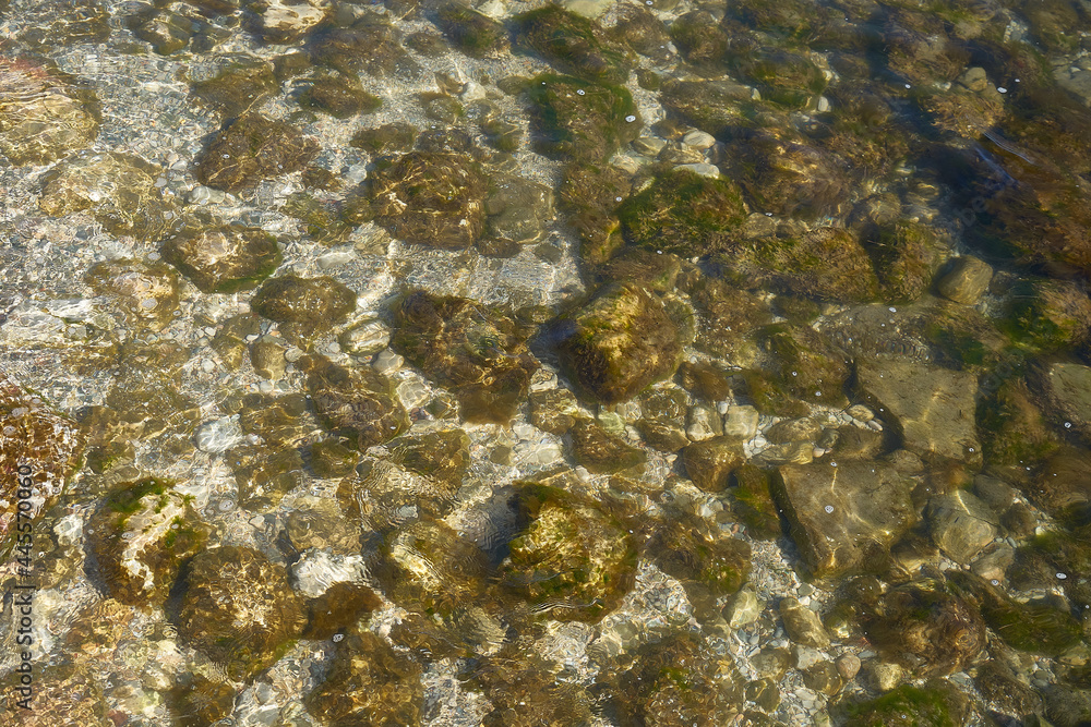 Sea water. Rocky seabed. Seaweed.
