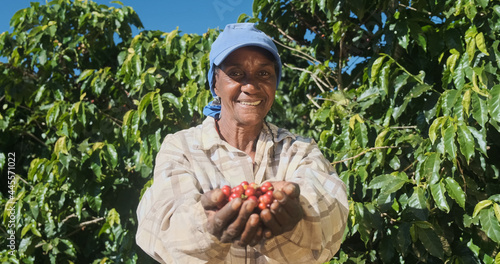 Latin woman farmer showing picked red coffee beans in his hands. Woman coffee farmer is harvesting coffee in the farm, arabica coffee. photo