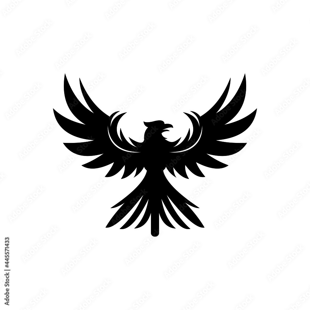 Obraz premium black hawk logo, silhouette of predator bird vector illustrations