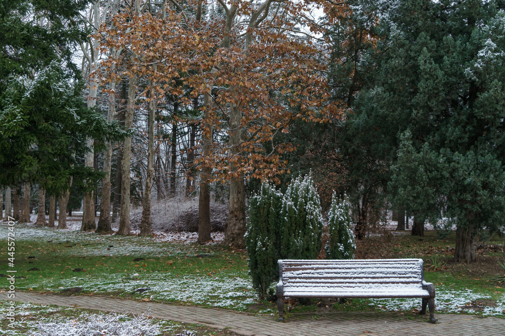 Image of a bench in a winter park.