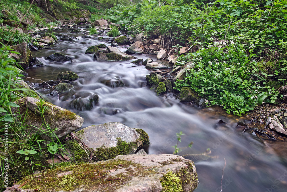 Obraz premium Fließender Bach.