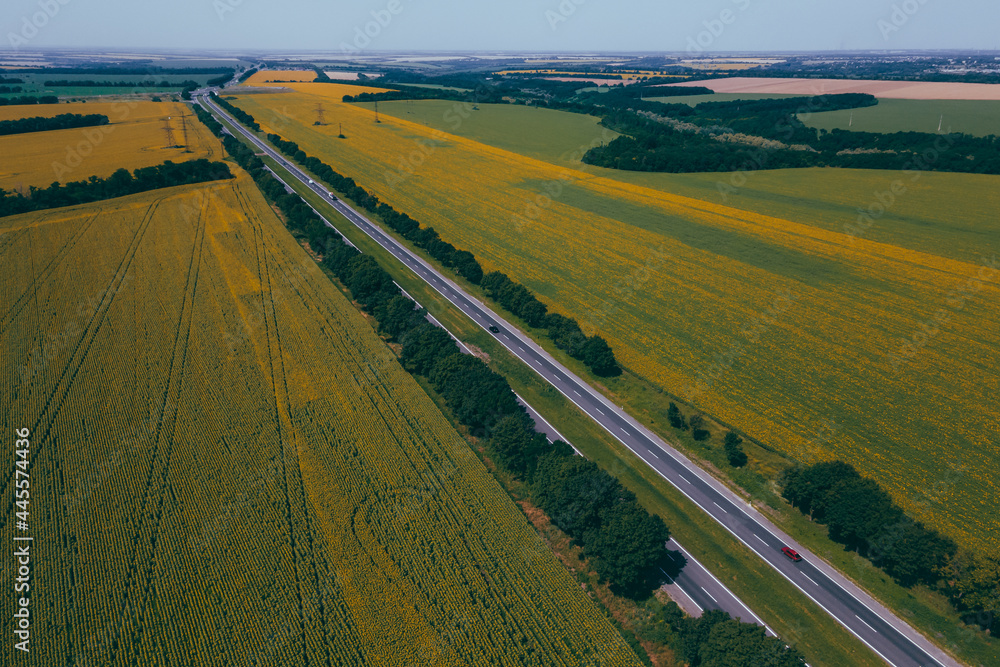 Field with bright yellow sunflowers on a sunny day. Aerial photography, drone photography. Perfect wallpaper. Aerial view of a sunflower field in summer. Drone photography texture image